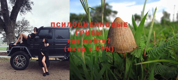 дживик Алзамай