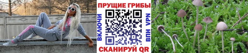 Псилоцибиновые грибы MAGIC MUSHROOMS Старая Русса