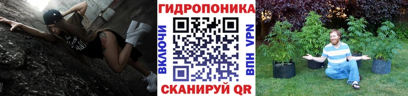 Канабис VHQ  это какой сайт  Старая Русса  дарнет шоп 